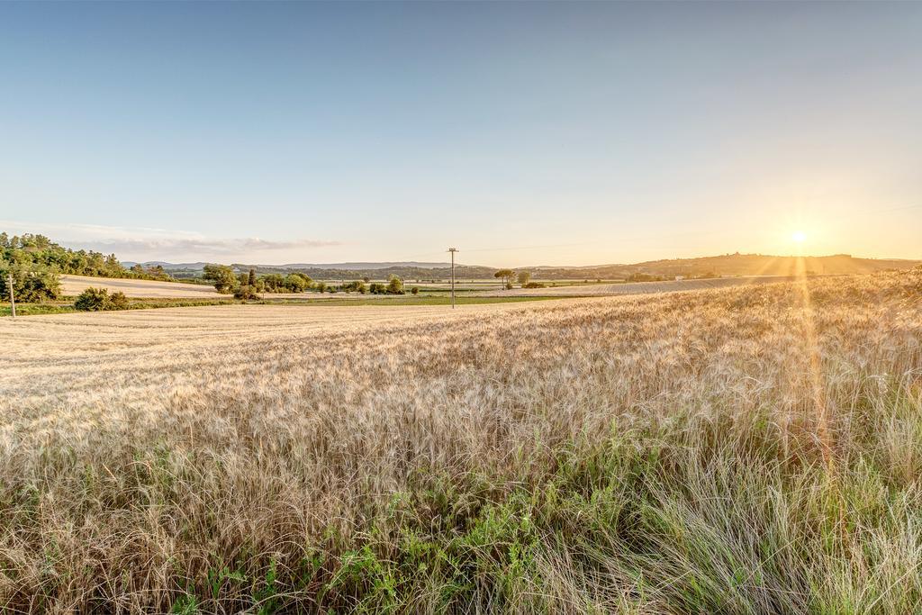 Agriturismo Il Poggiarello Foiano Della Chiana Exteriér fotografie