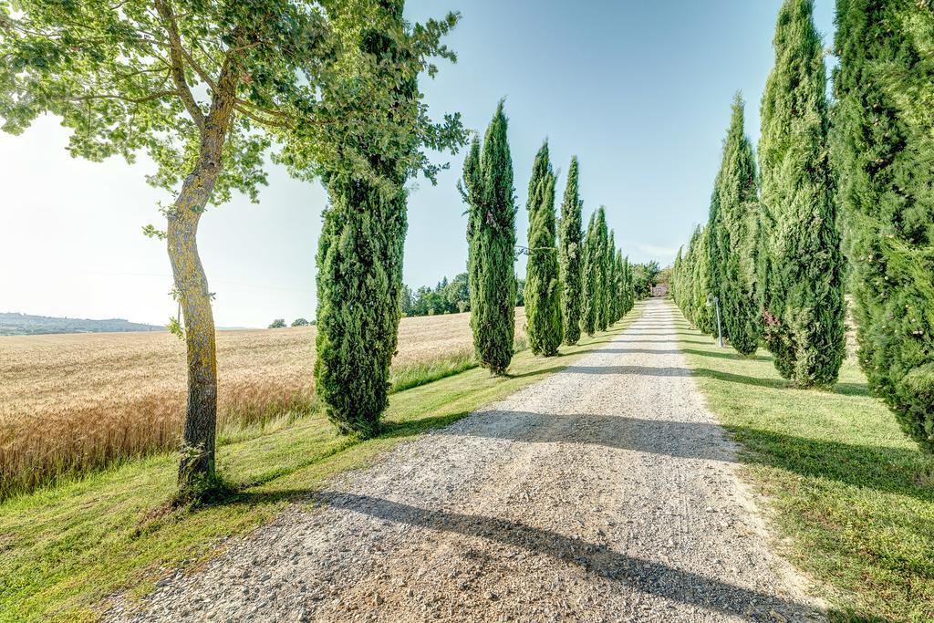 Agriturismo Il Poggiarello Foiano Della Chiana Exteriér fotografie